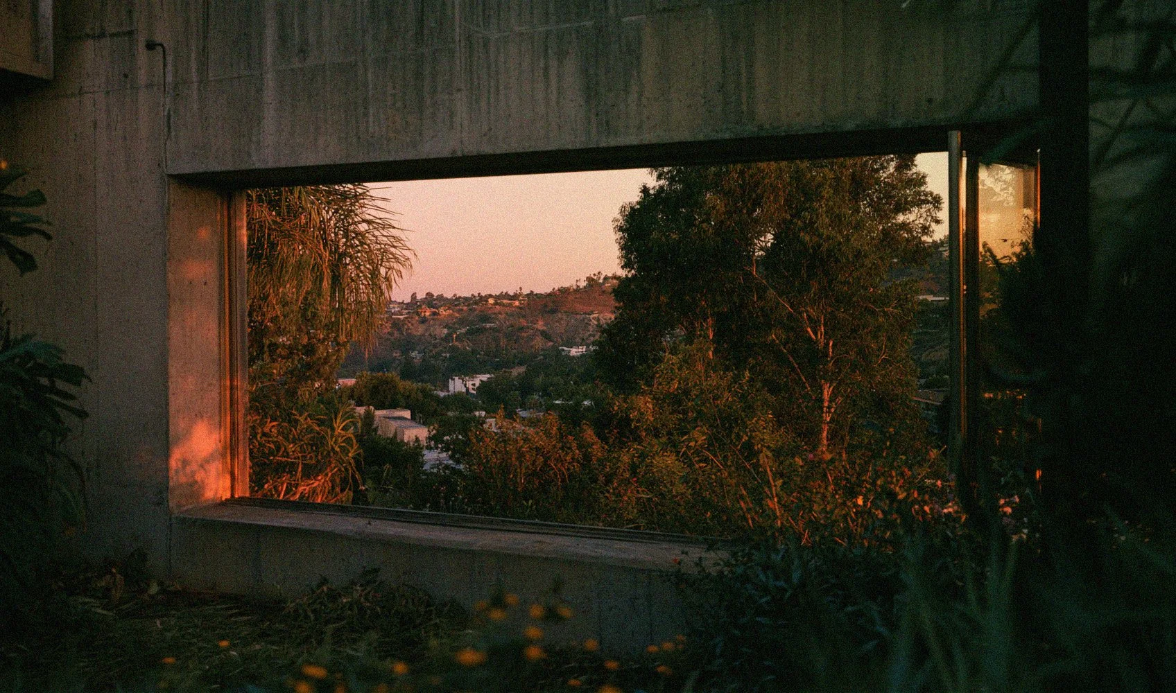 Case Study #36 (2026) - cement and pinewood, 2600mm x 970mm Los Feliz, C.A., October 2026.
