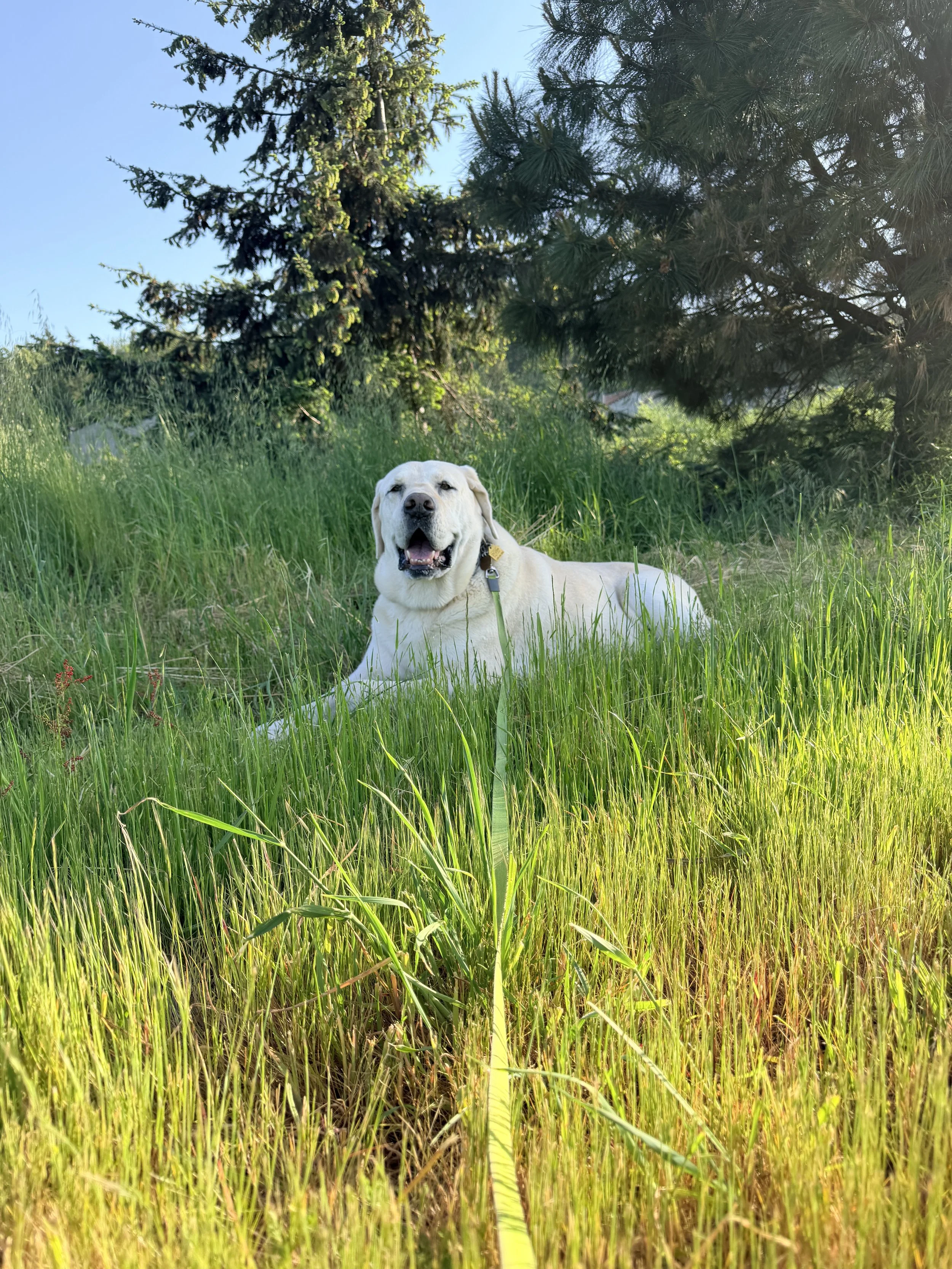 Living In South Eugene, Oregon