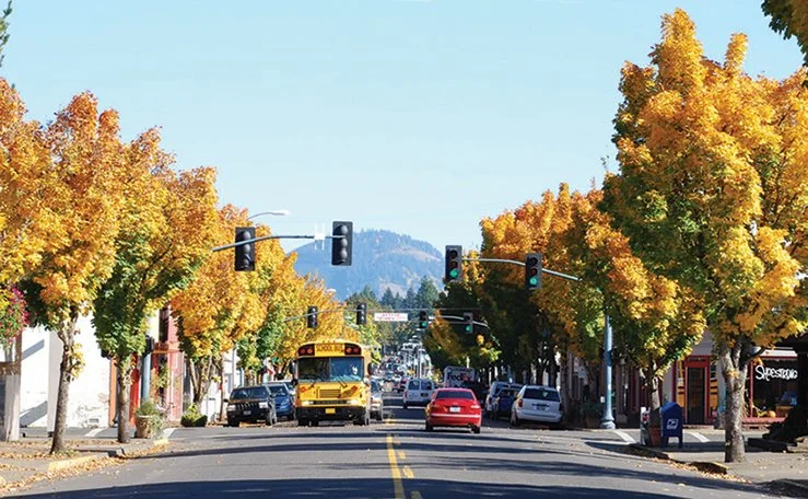 Fall-on-Main-Street.jpg