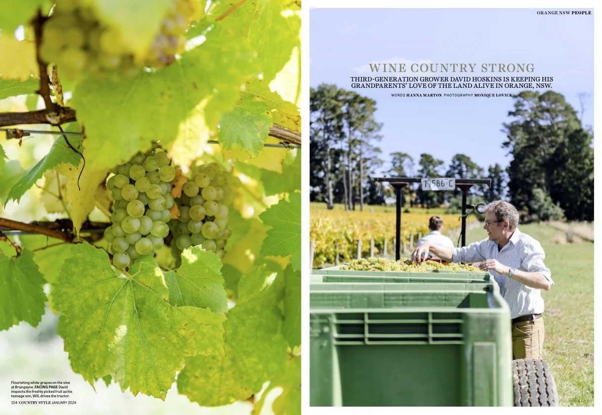 'Wine Country Strong: Brangayne of Orange Wines', Country Style, January 2024