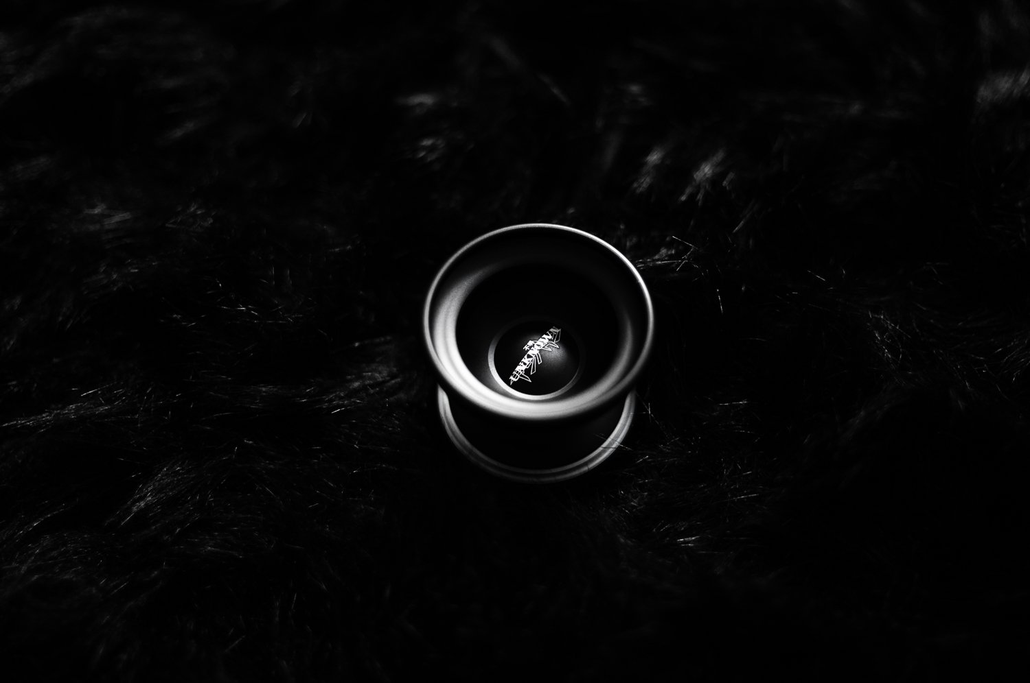 L1004272.jpg