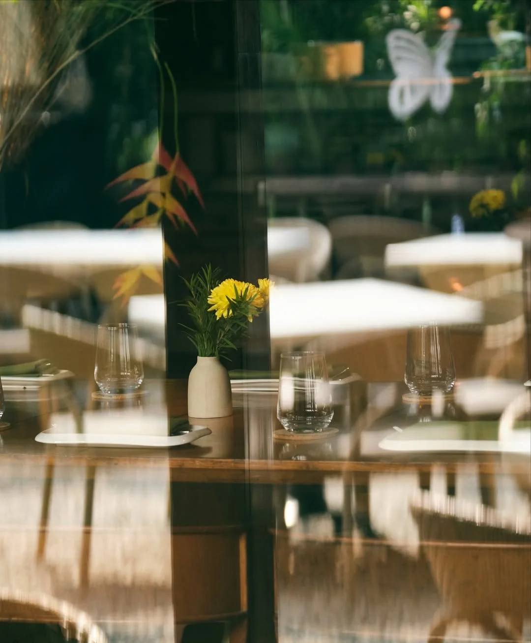 SaveClip.App_553512245_18535745584044776_8707074545959296830_n (1).jpg