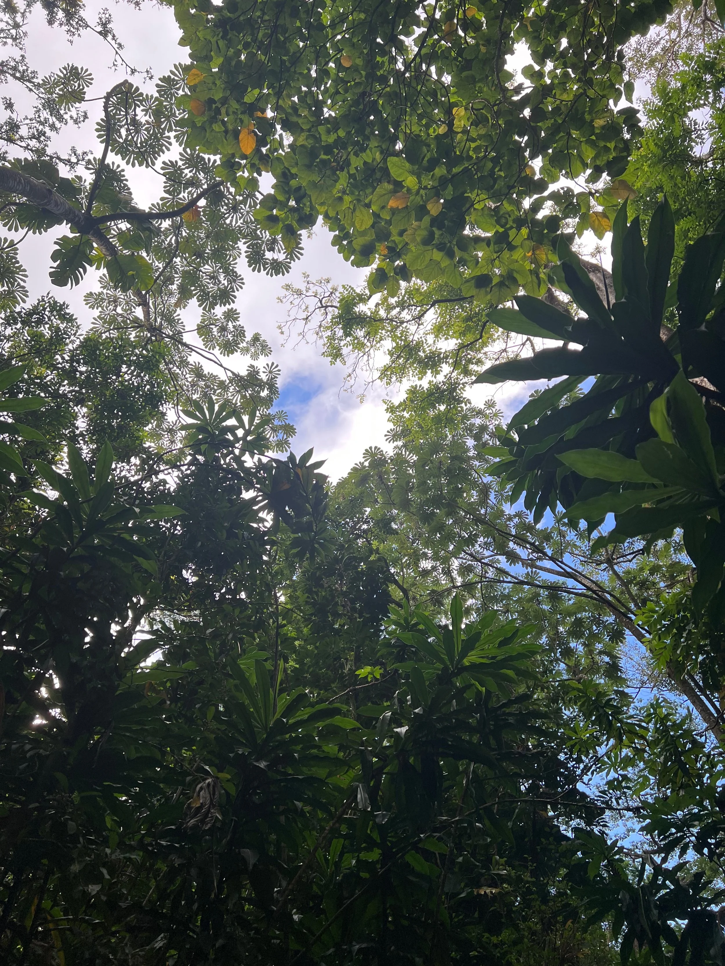 manoa sky.jpg