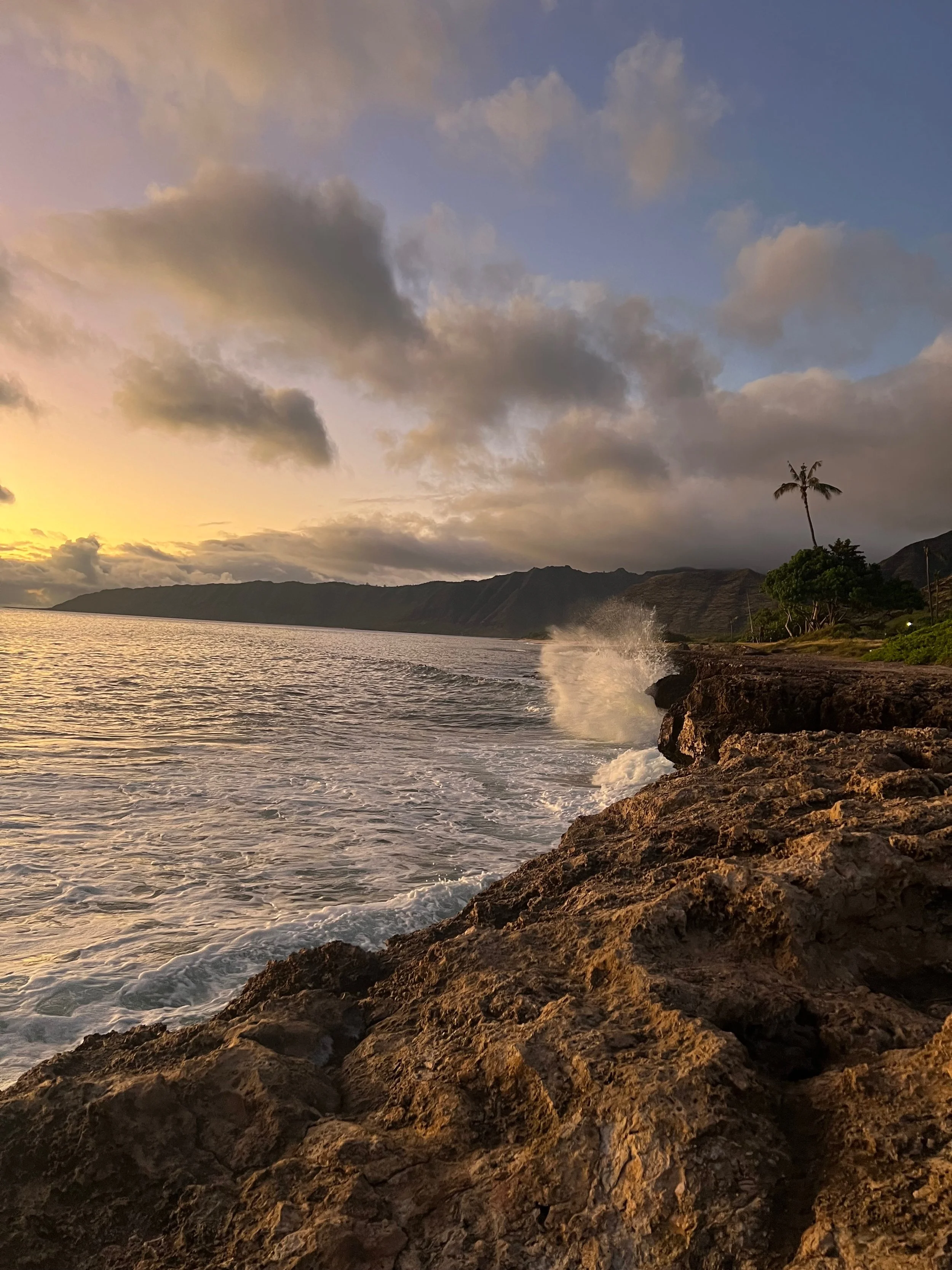 waianae 3.jpg