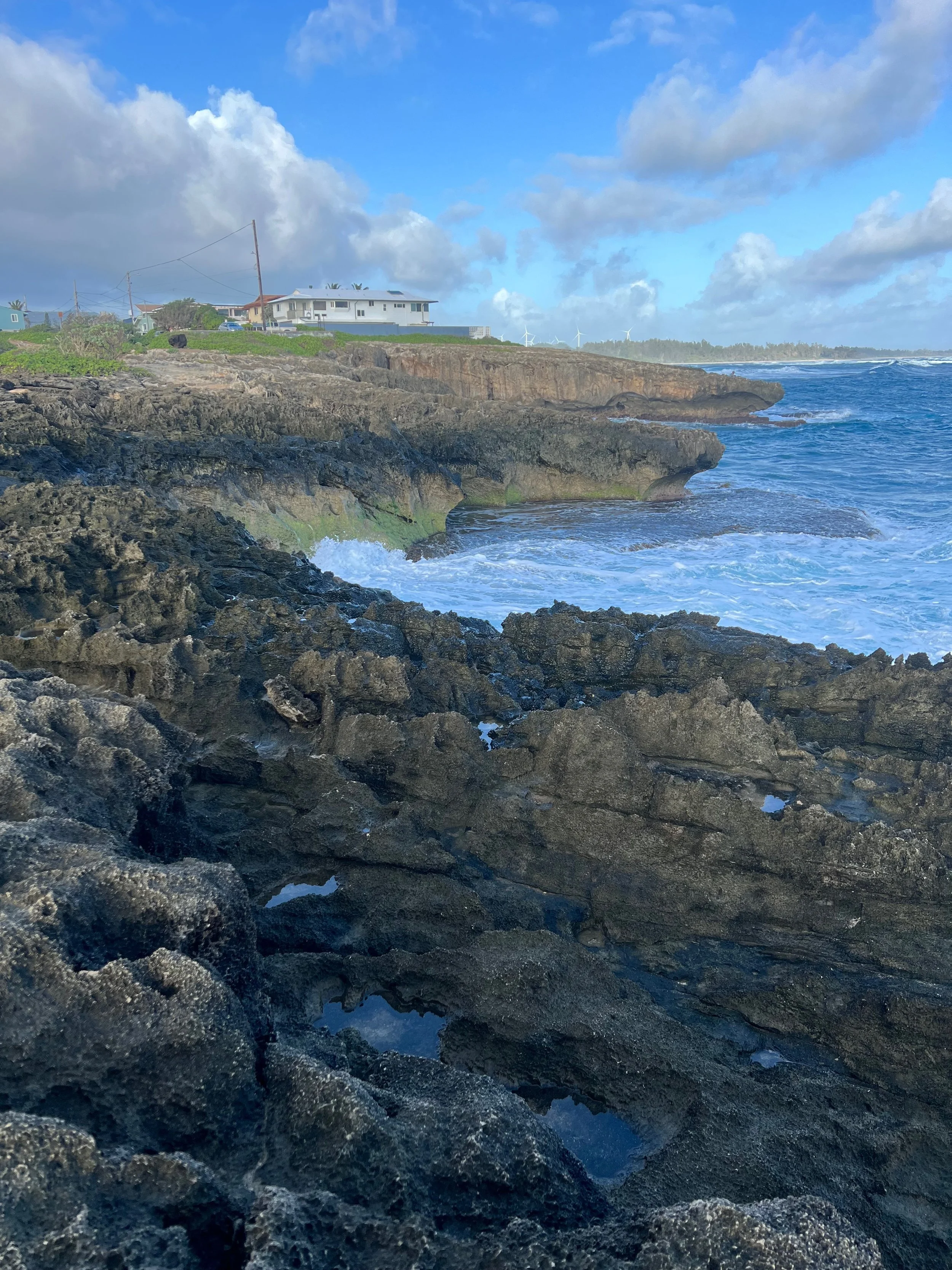 laie.jpg