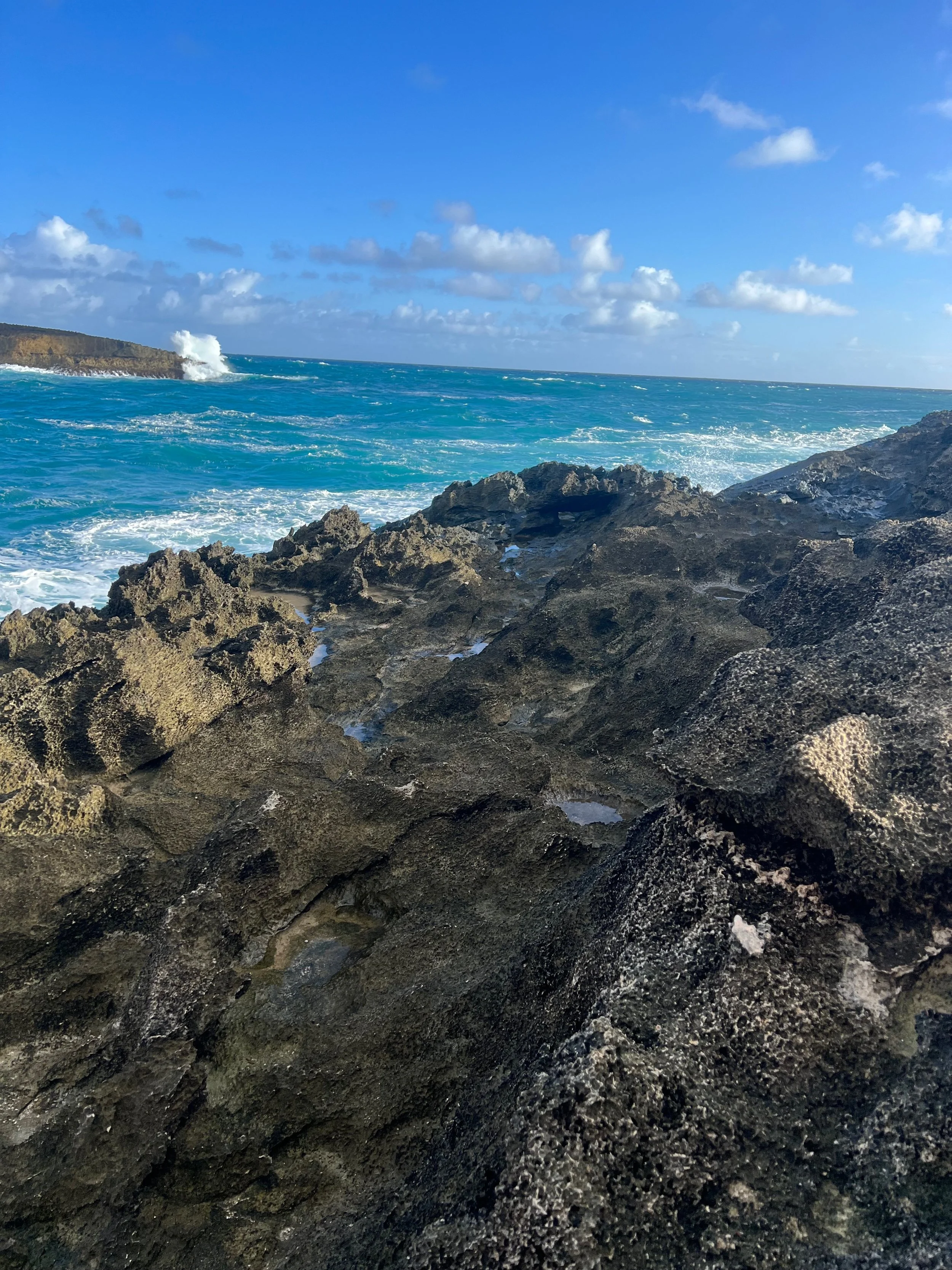 laie 2.jpg
