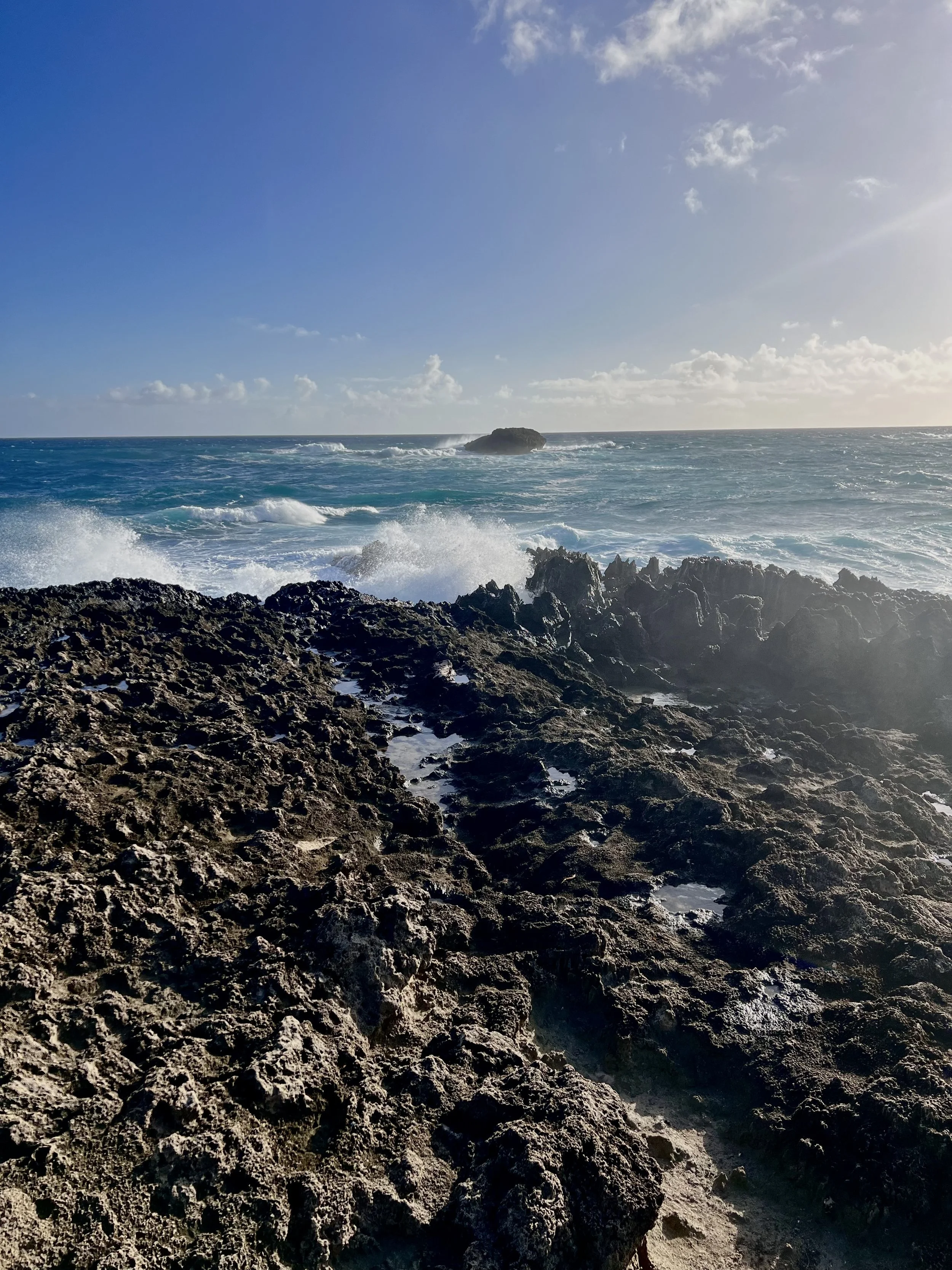 laie 3.jpg