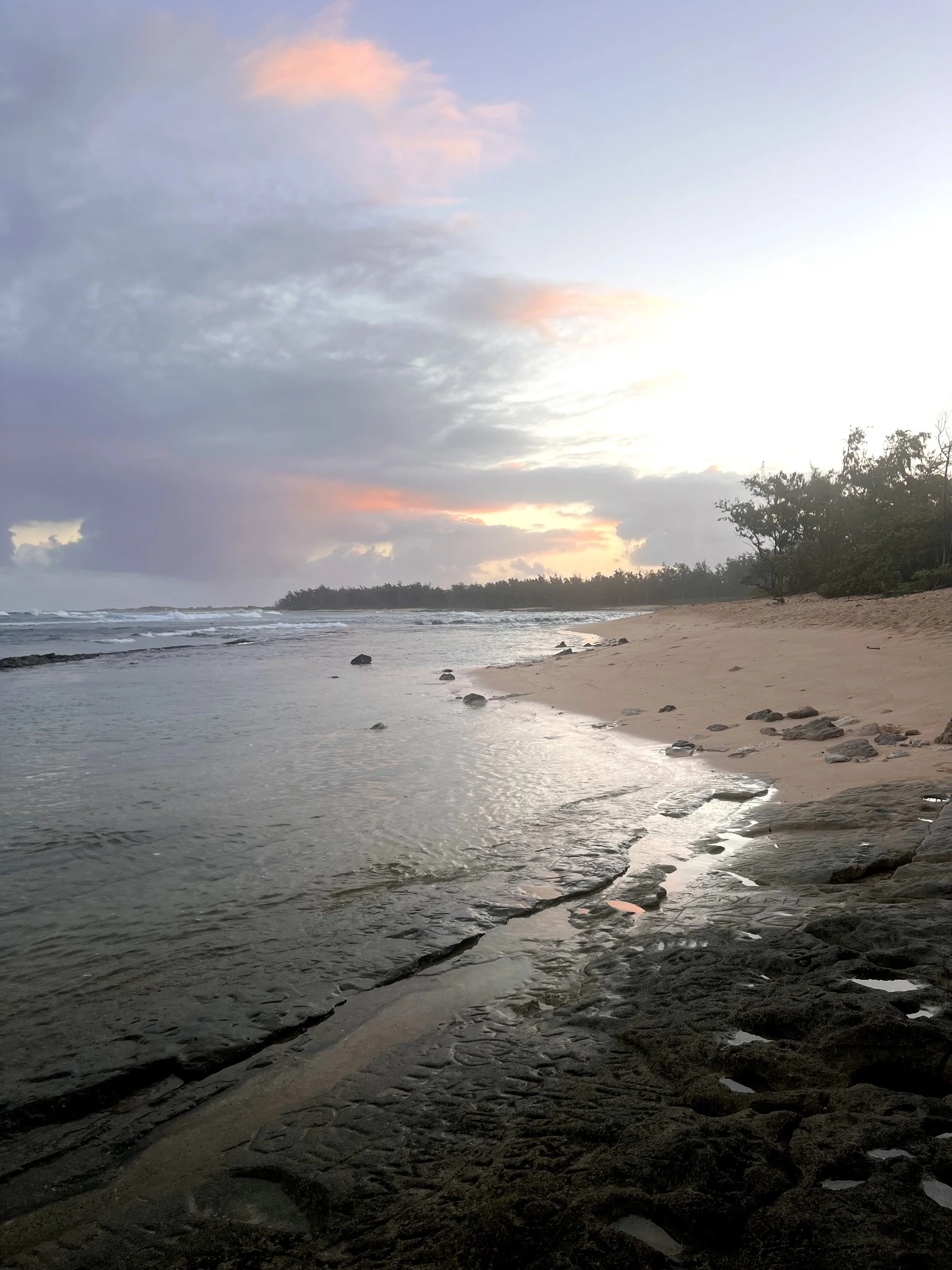north shore.jpg