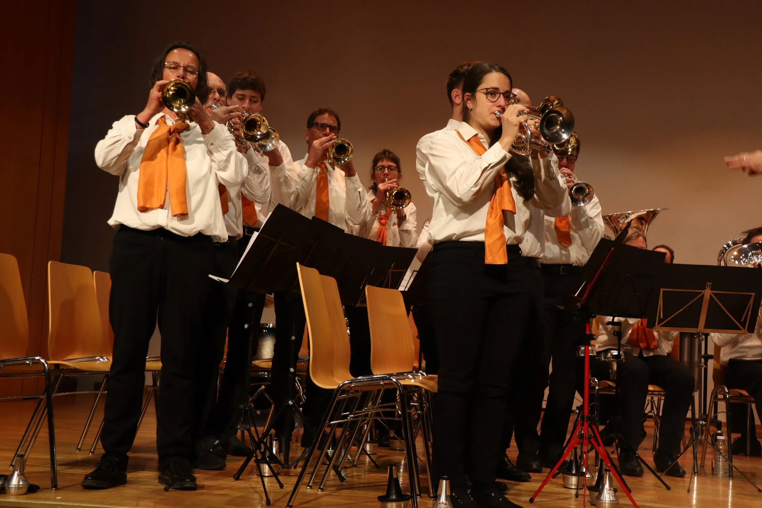 Brass Band Felsegg.jpg