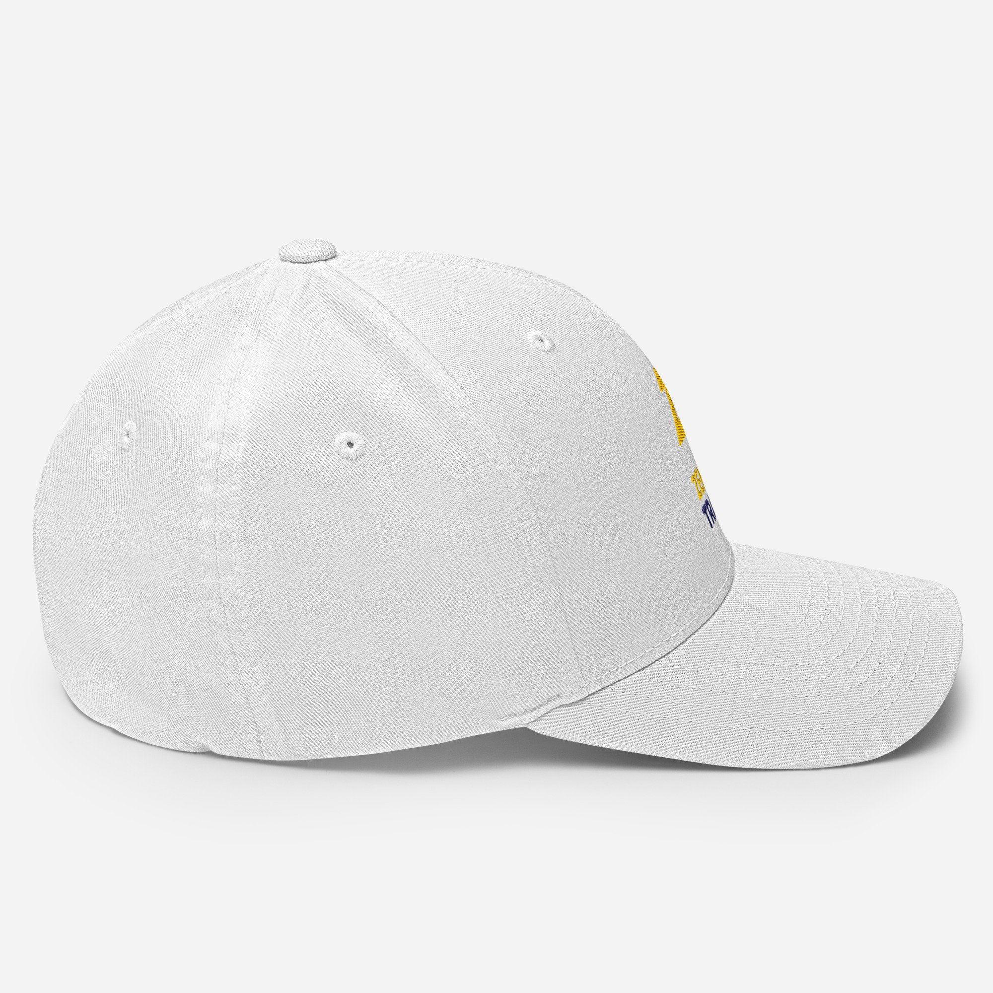 closed-back-structured-cap-white-right-675171acd7ba7.jpg