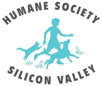 HSSV offers puppy and adult dog manners classes, plus dog sports, workshops, and seminars.