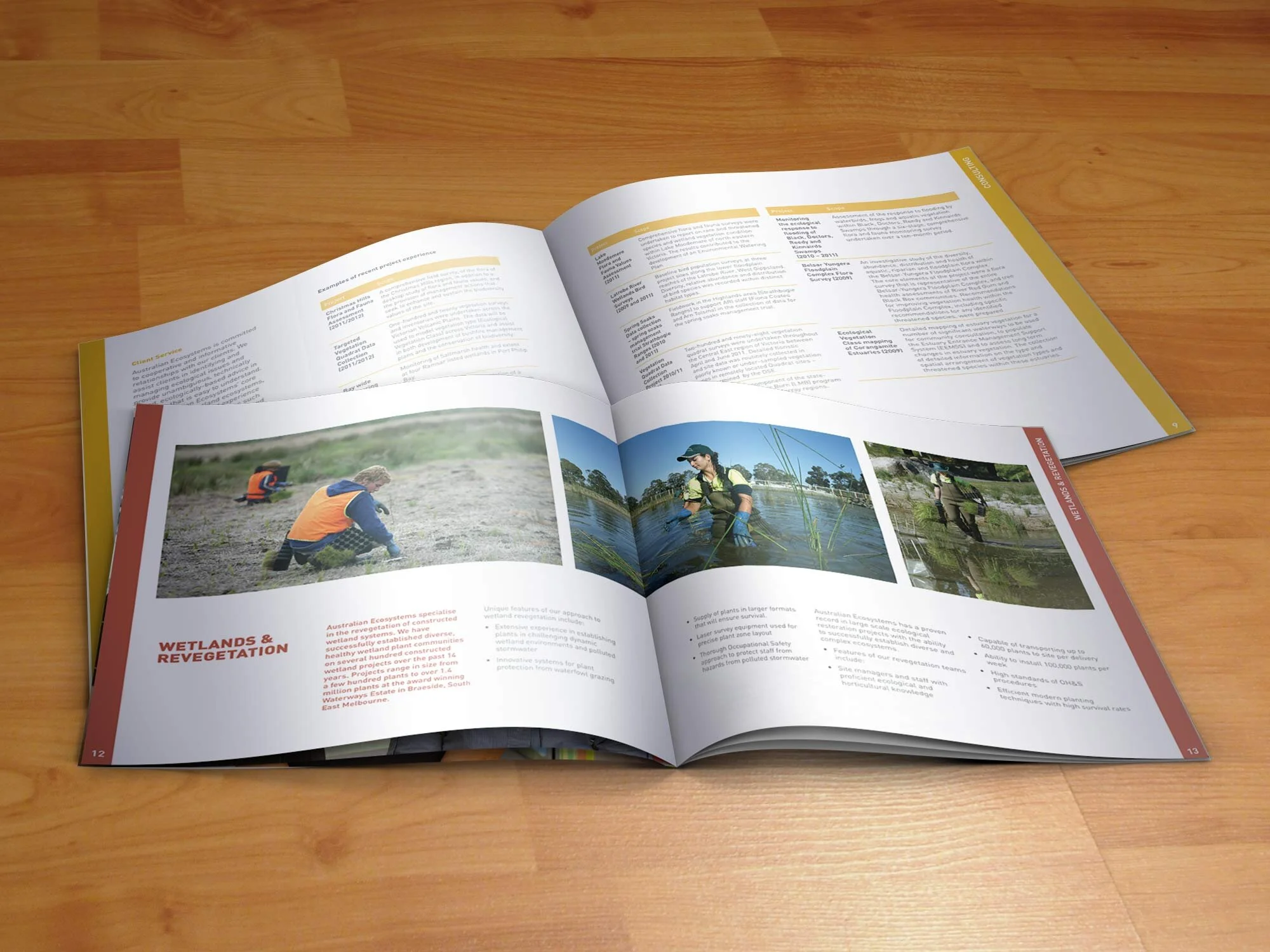 Cape-Pat-corporate-brochure.jpg