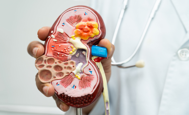 Nephrology Billing Guide: ESRD and Dialysis CPT Codes Explained
