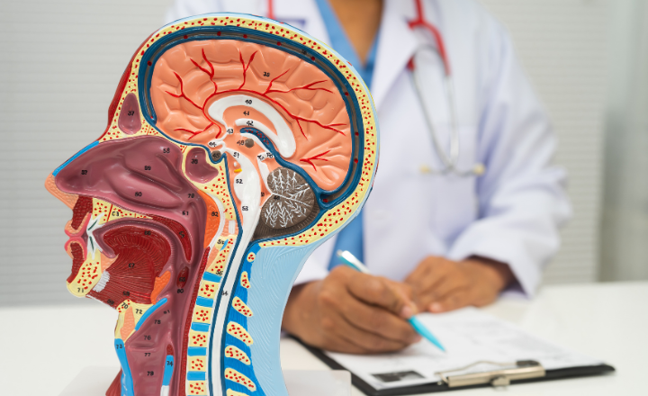 Turning Claim Submission Delays into 98% First-Pass Acceptance for an ENT Practice
