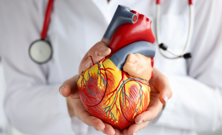 Appeal or Write Off? High-Dollar Cardiovascular Surgery Denials