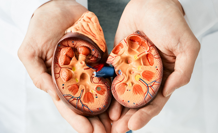 Nephrology EHR: Dialysis Billing, Coding &amp; Reimbursement