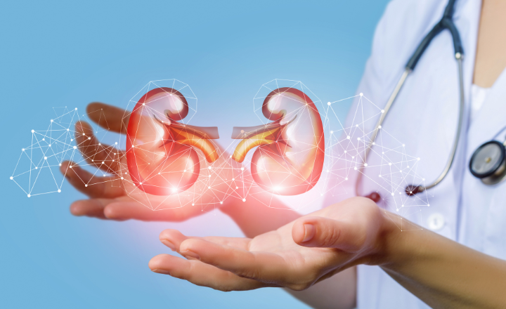 Kidney Ultrasound CPT Codes: The 76770 vs. 76775 Dilemma