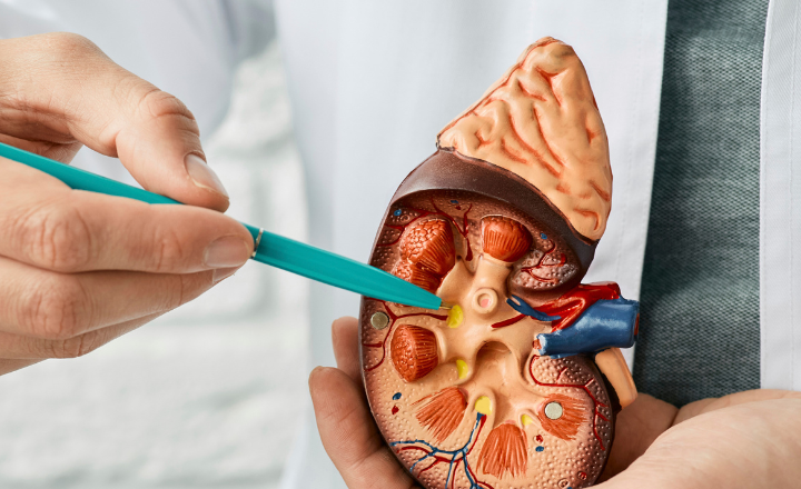 Nephrology Billing Outsourcing: How to Evaluate Costs, ROI, and Billing Partners