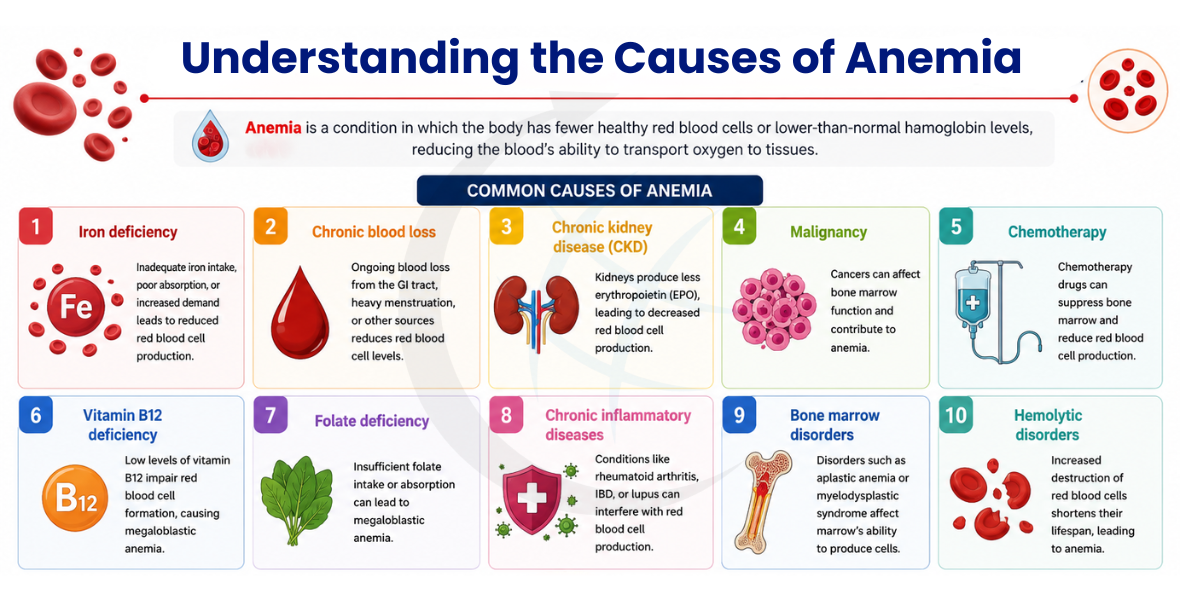 Understanding the Causes of Anemia