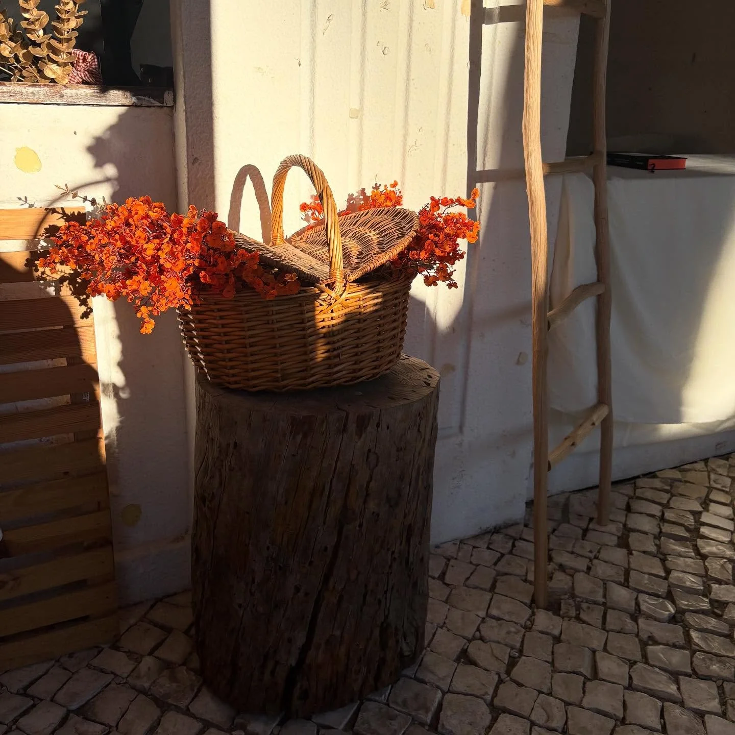 Markets are the best, you get so many inspirations, find the best trinkets for your home and learn about new designers to wear. One of our favourite seasonal fairs is @stylista_mg in Estoril Portugal! 
.
.
.
#stylista #portugalfairs #markets #estoril