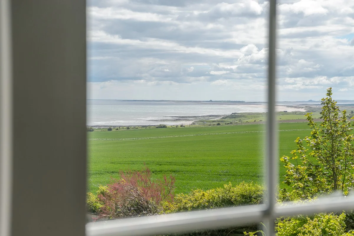 Window Views-1.jpg