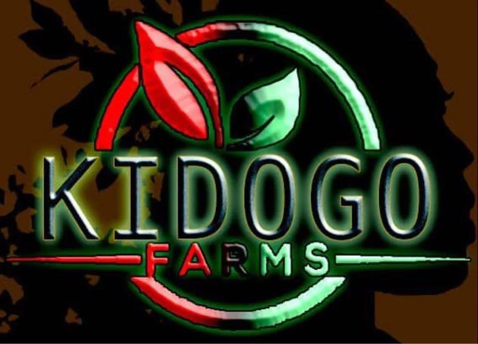 kidogo logo - Info Kidogo.jpg