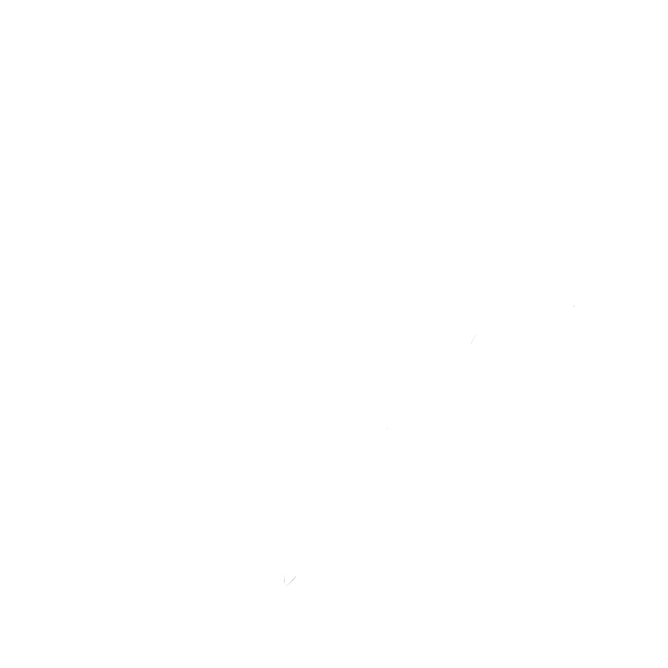 saasil-birth-icon-session-r2.png