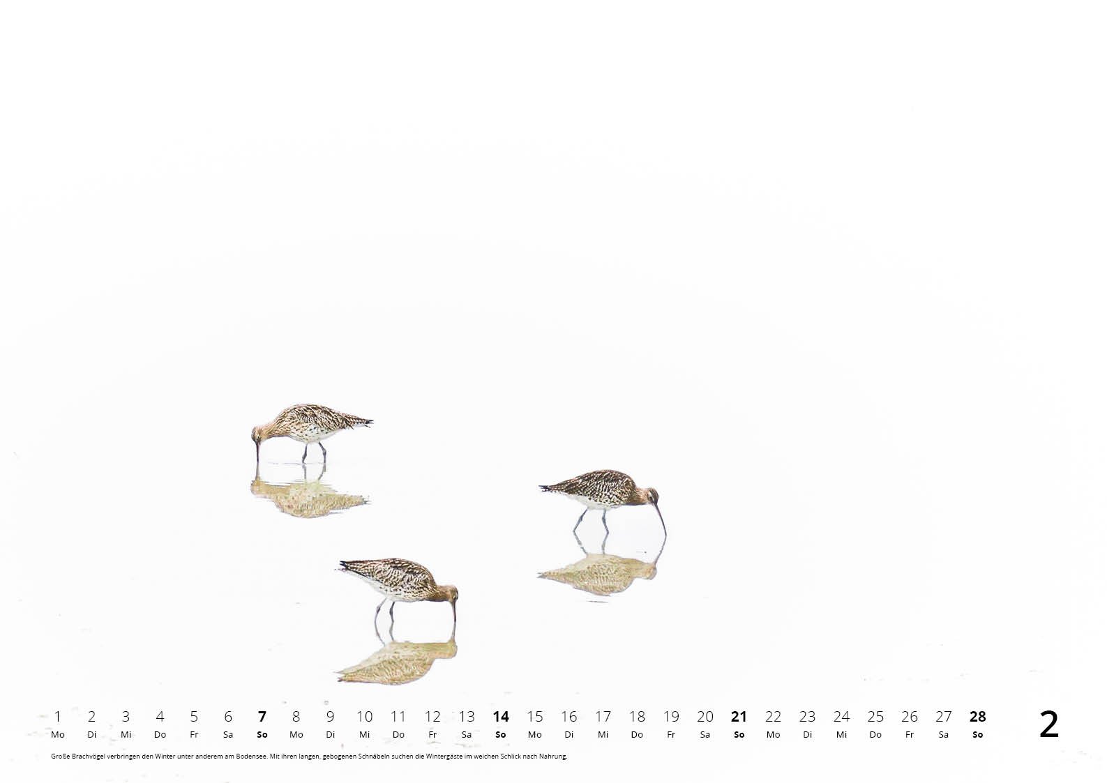 fotokalender2027_natur_420x297_02-2_3.jpg