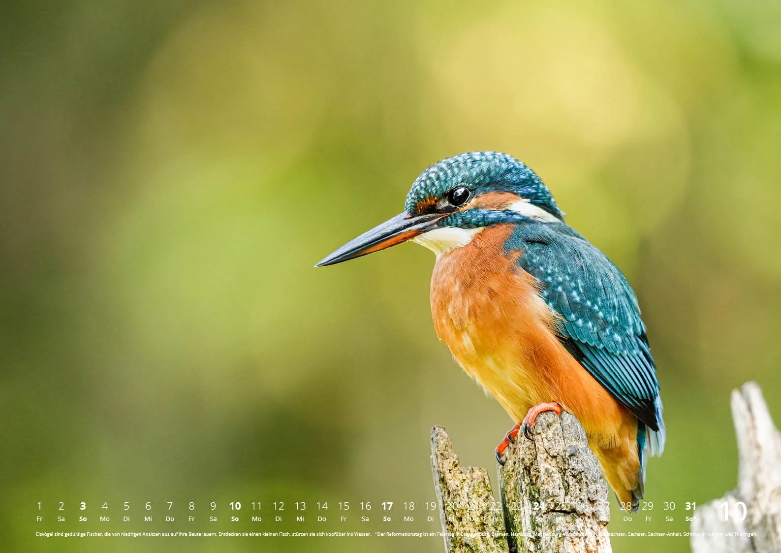 fotokalender2027_natur_420x297_02-2_11.jpg