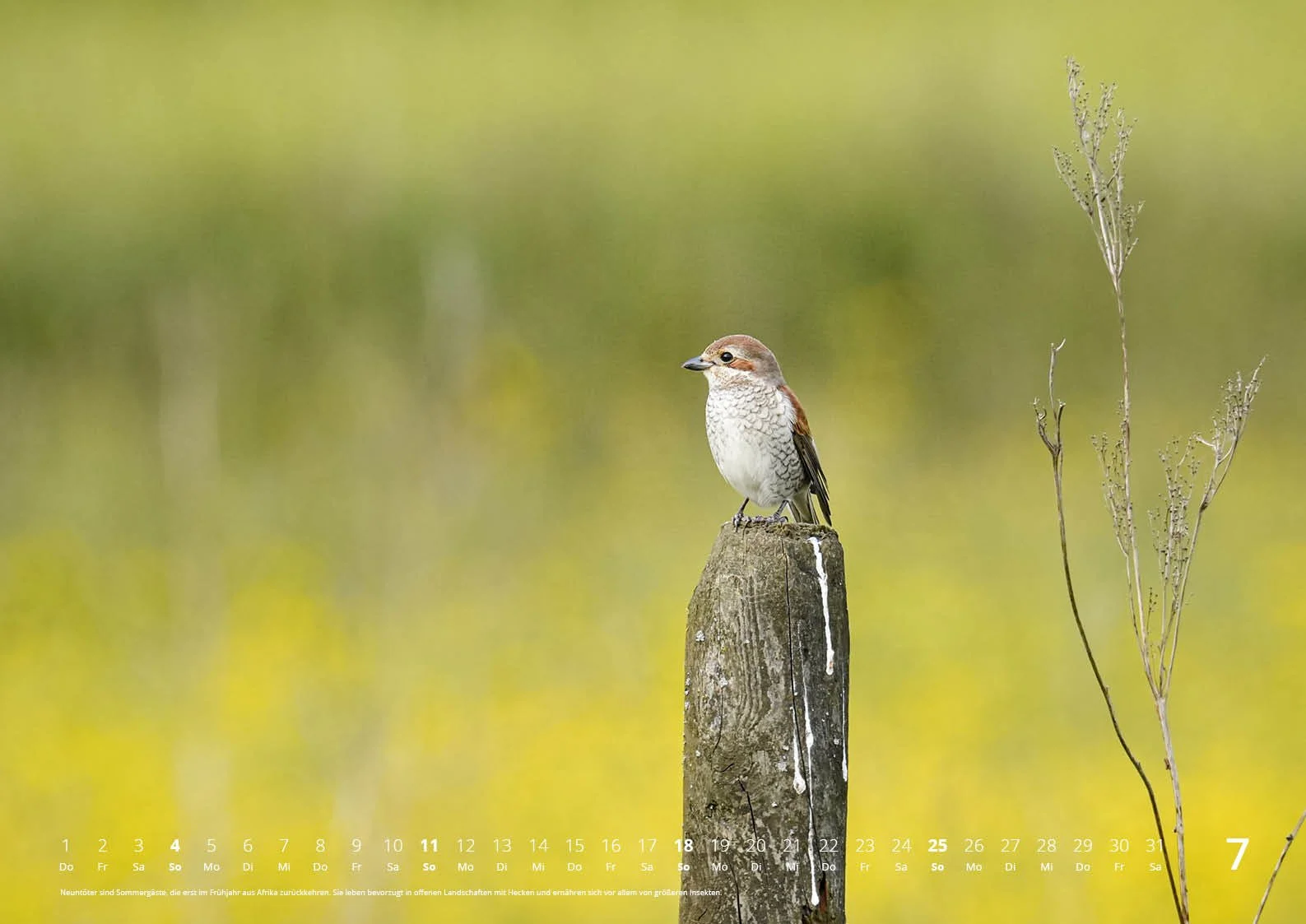 fotokalender2027_natur_420x297_02-2_8.jpg