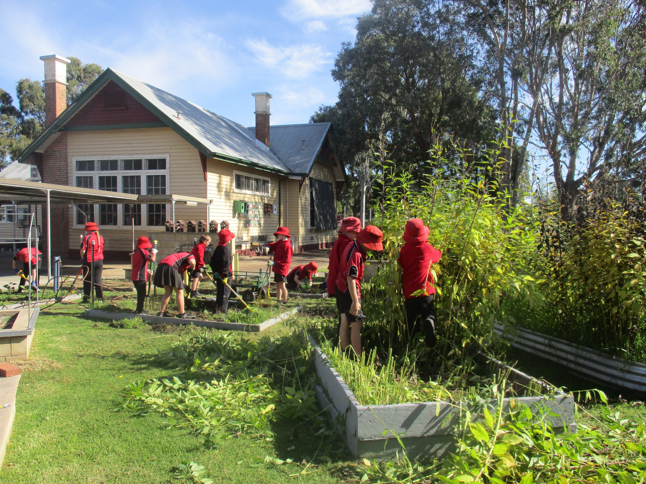 Gardening - term 2, week 1