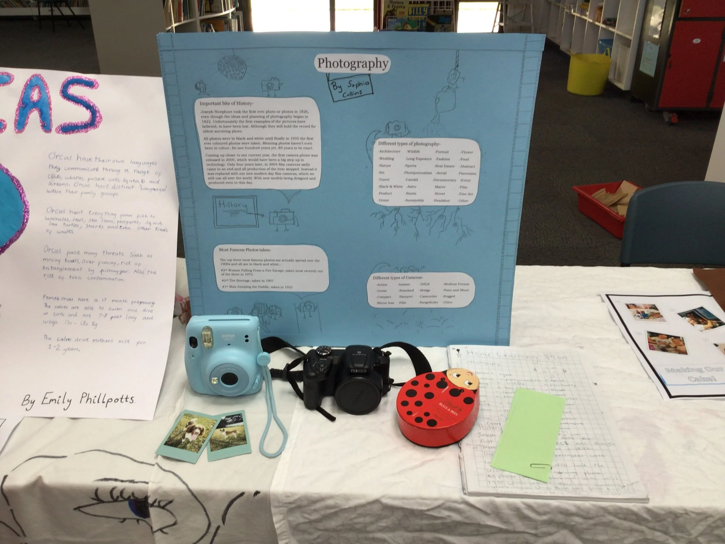 Home Learning Expo Extravaganza