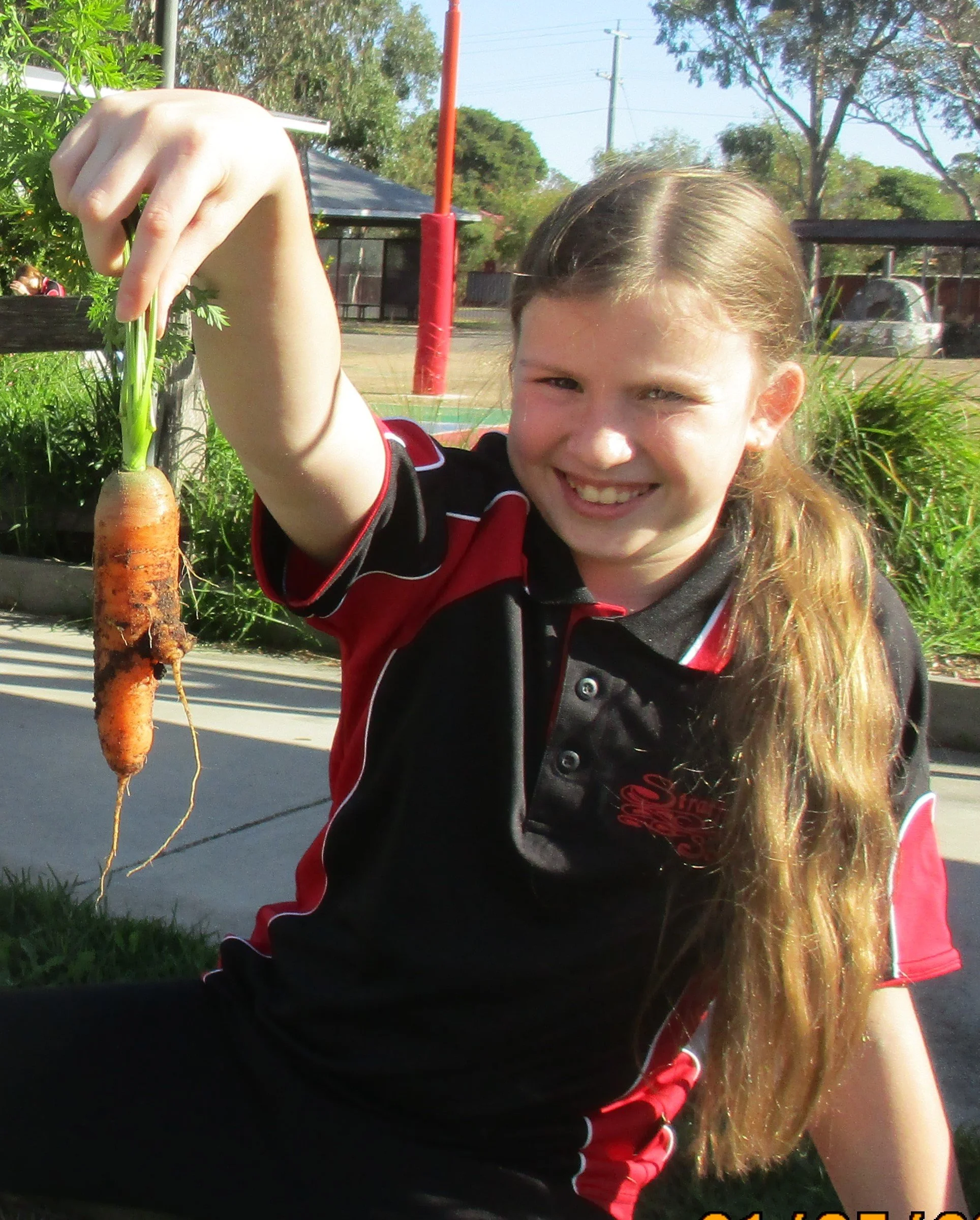 A Cold but Sunny Start