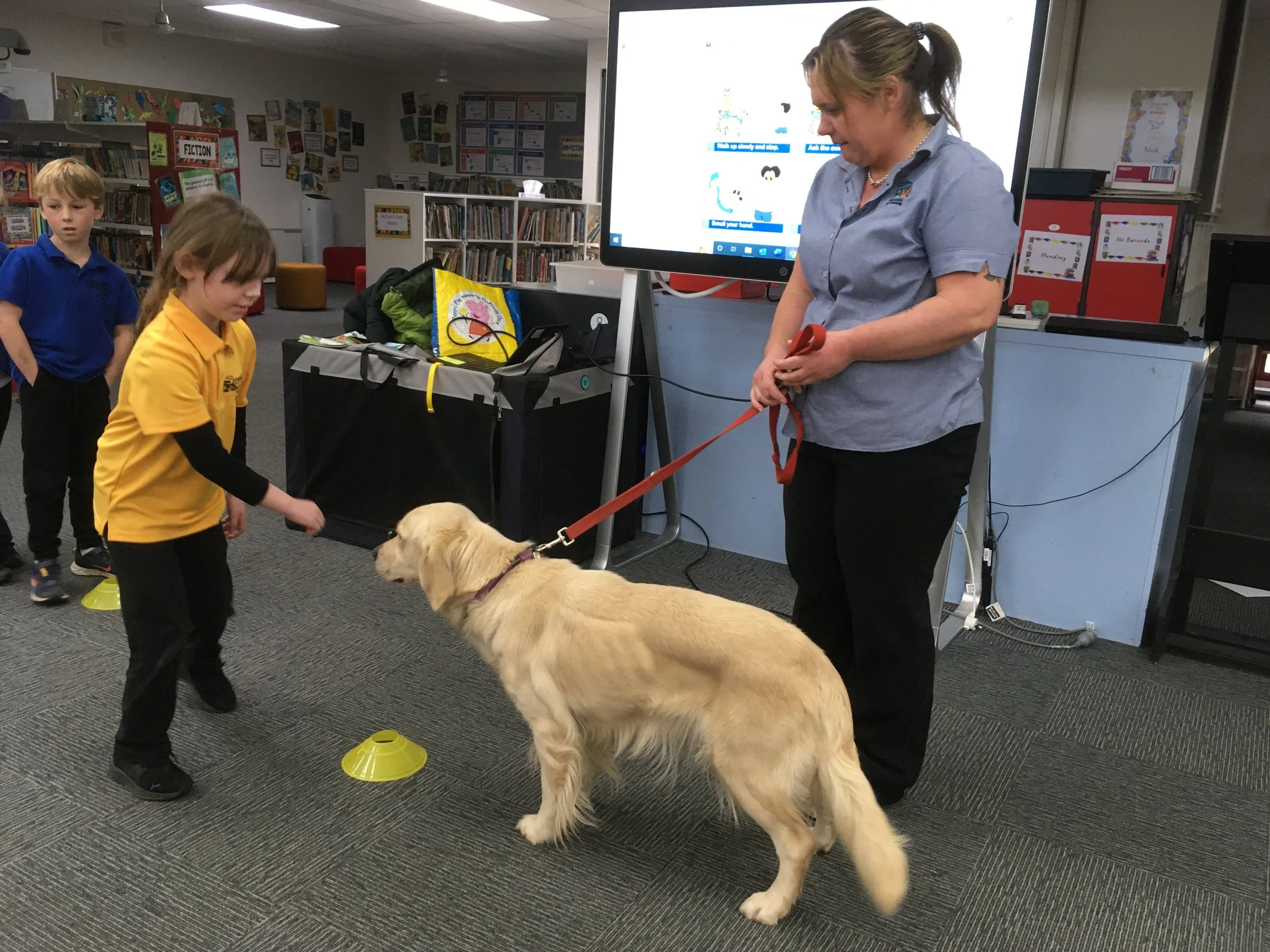 Responsible pet ownership