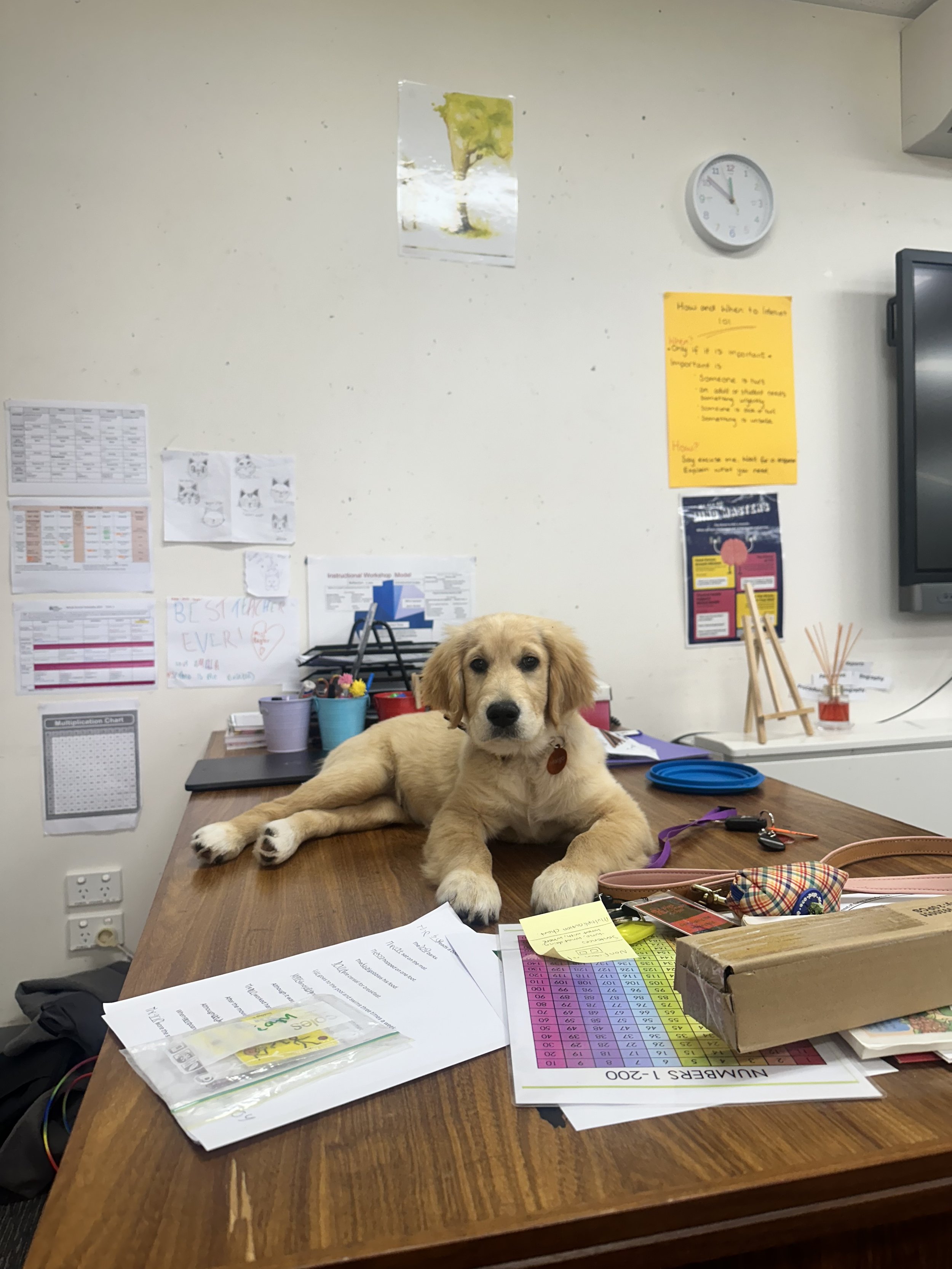 Miss Margo’s introduction to the 5/6 class