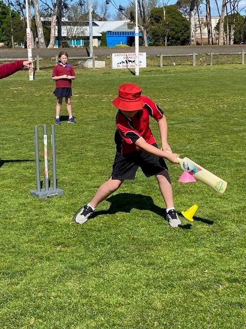 Cricket Gala 5/6