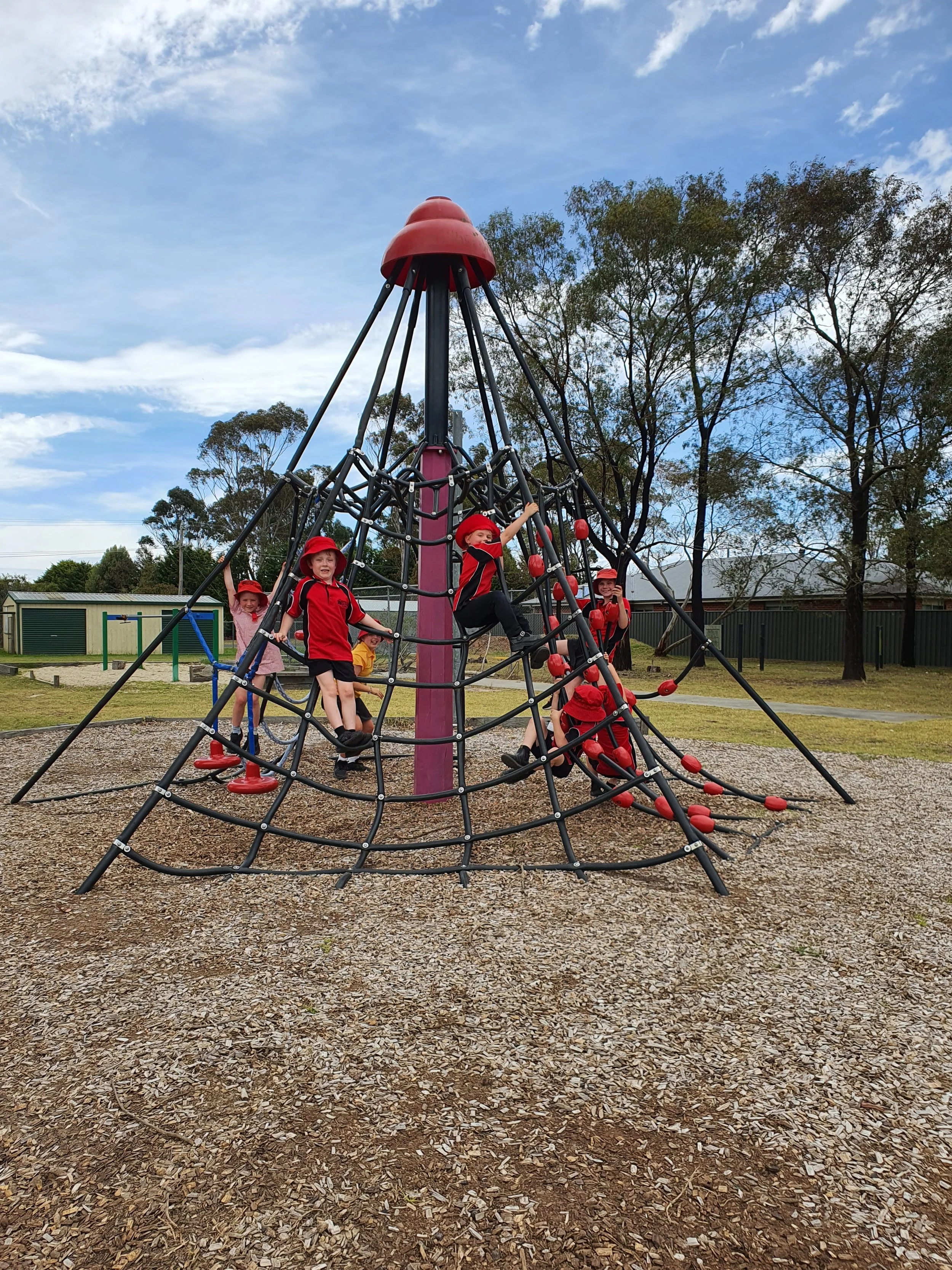 Playground Rectification