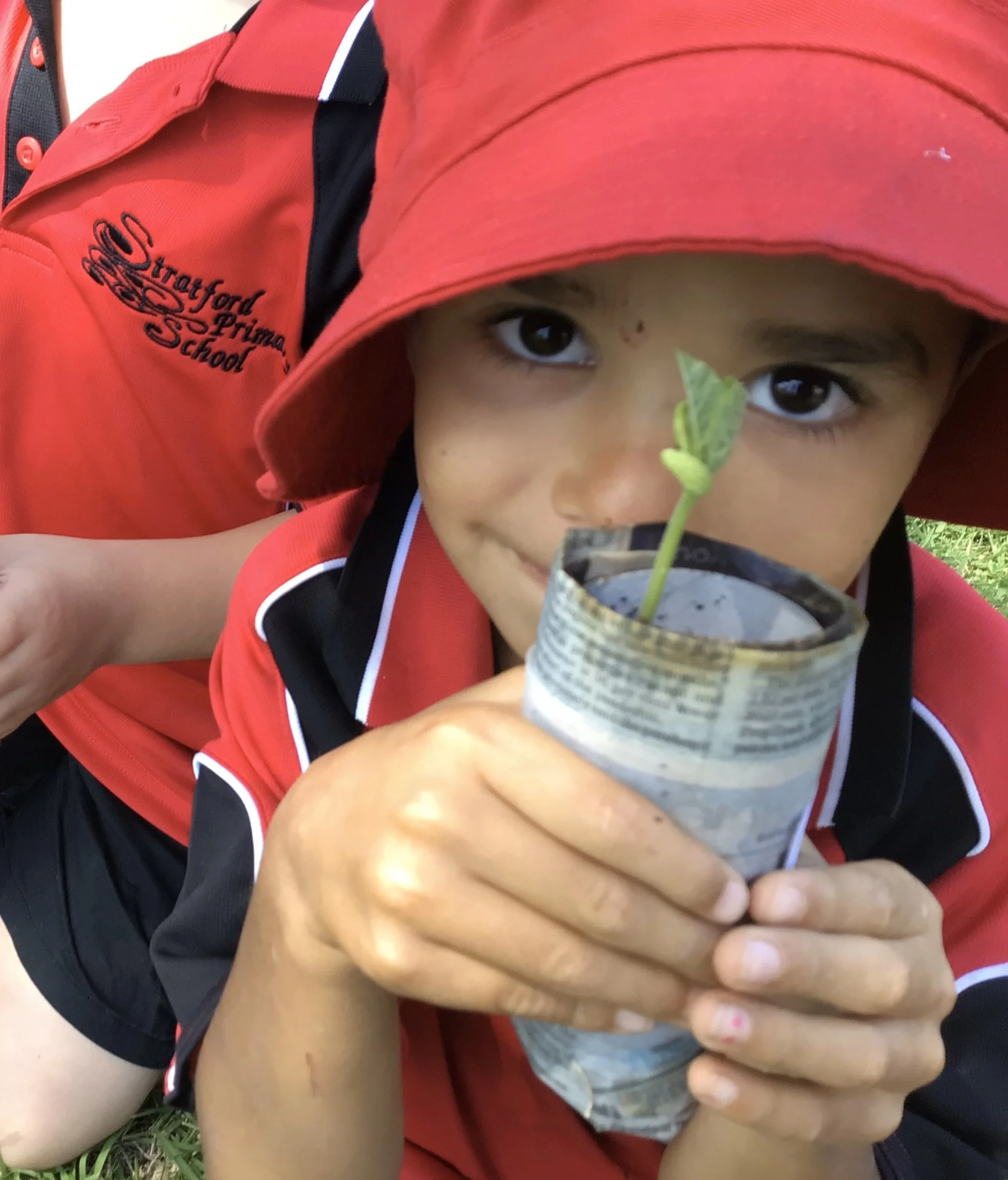 Week 5 and 6 Kitchen Garden