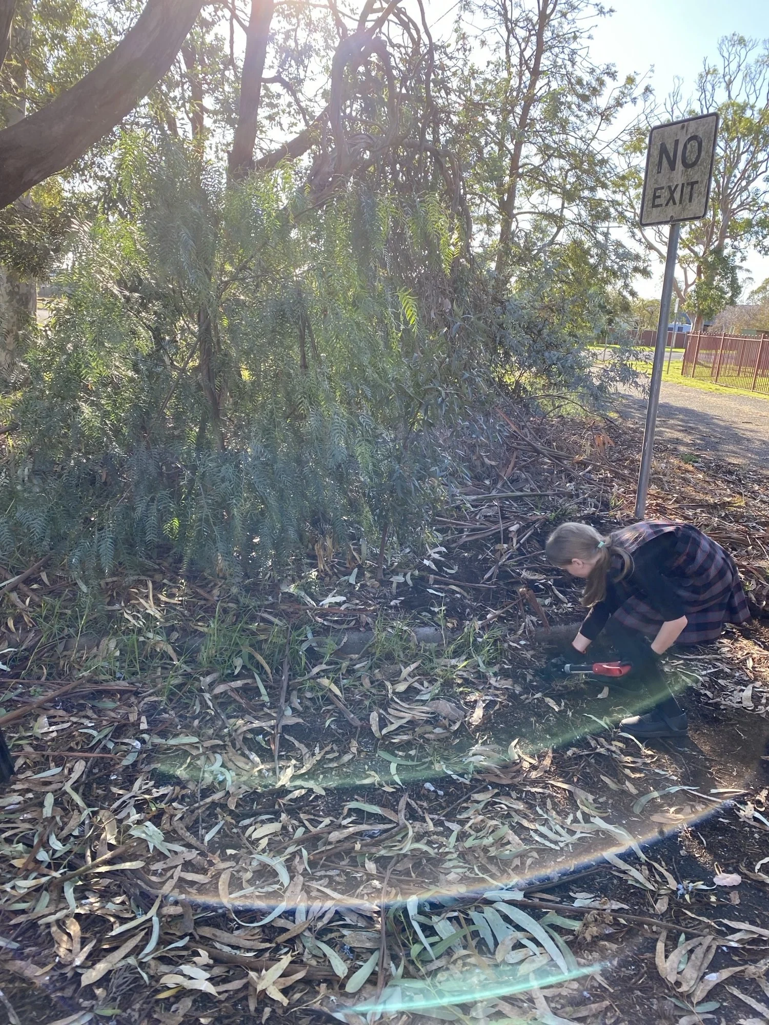 Curious Communities - Stadium Cleanup