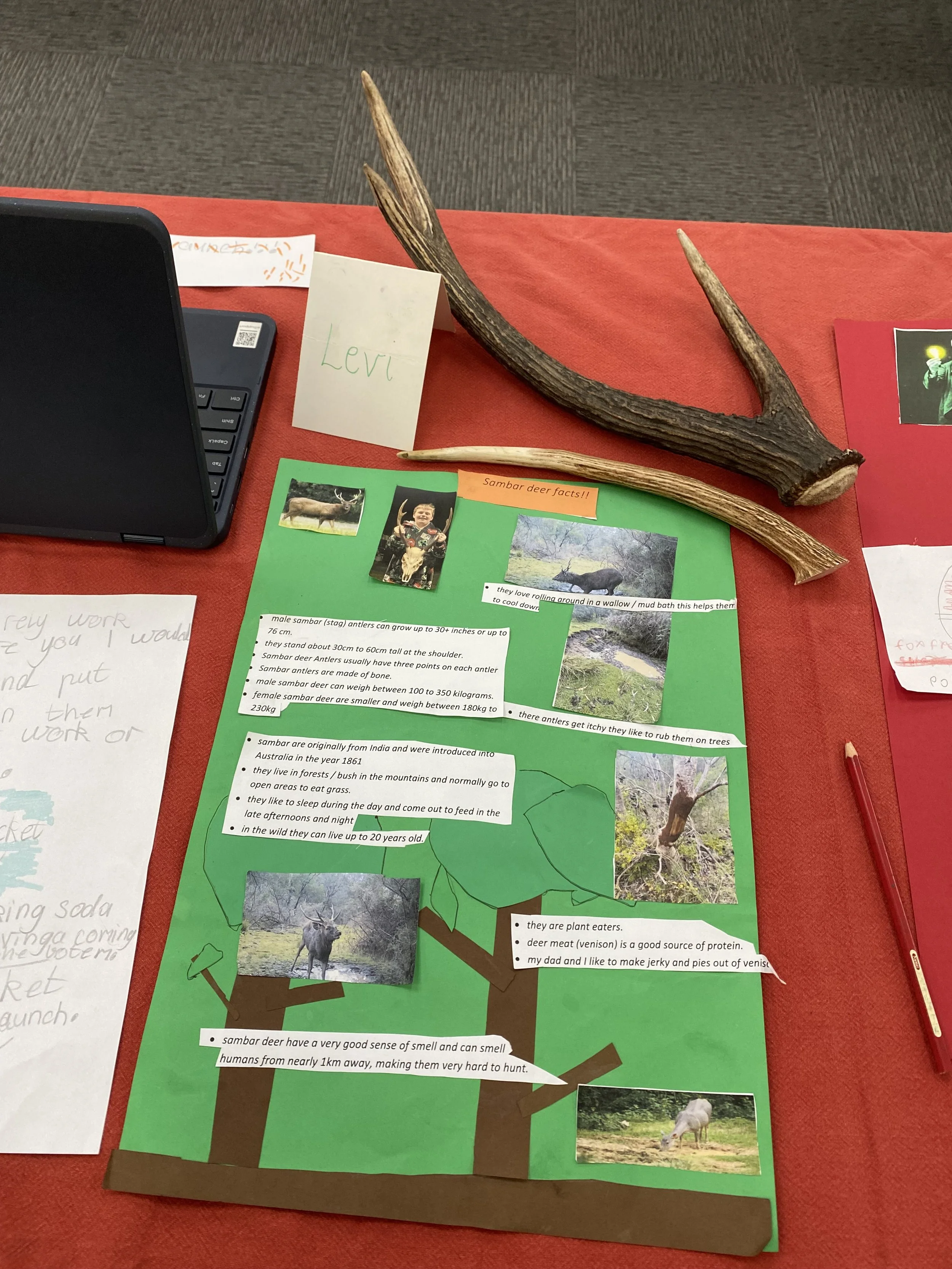 Special Events Home Learning 