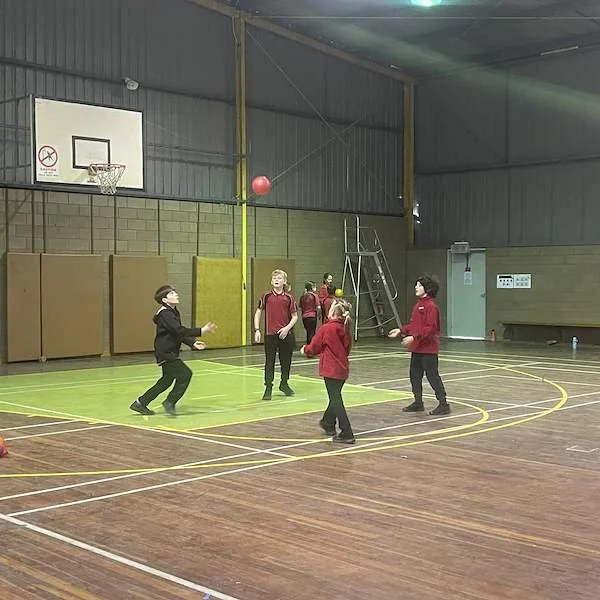 5/6  Class News Term3 Week 1 