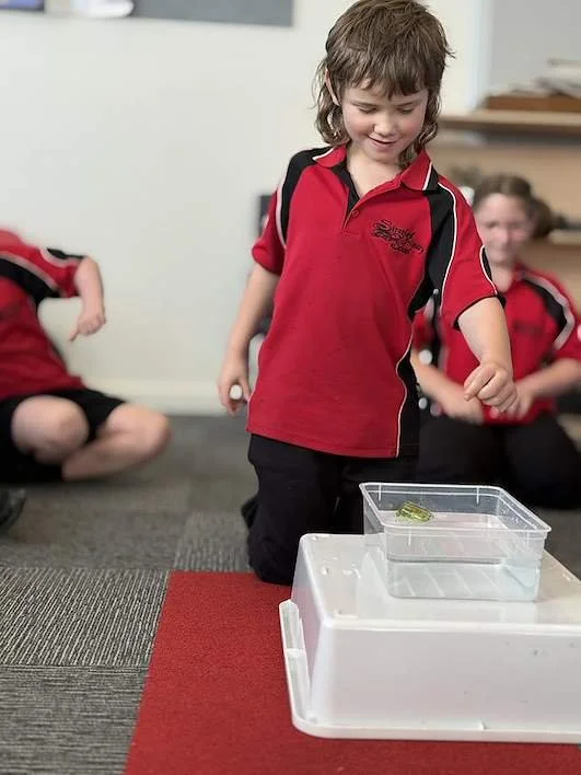 Science - Tech Term 3, Weeks 4 &amp; 5
