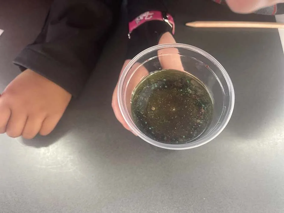 Science Tech Term 3, Weeks 6 &amp; 7