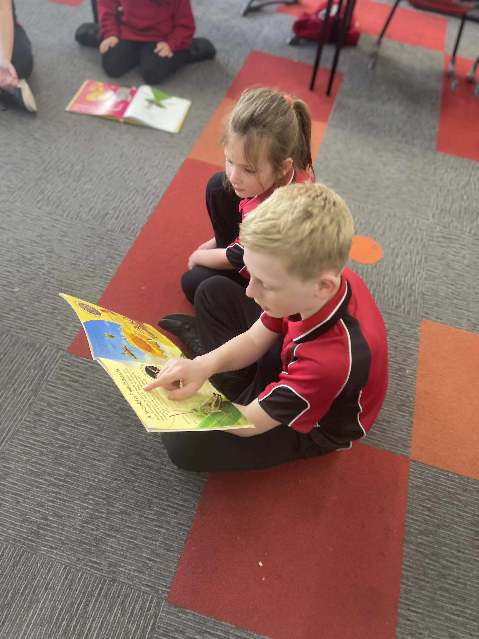 5/6 Class Term 3, Weeks 6 &amp; 7