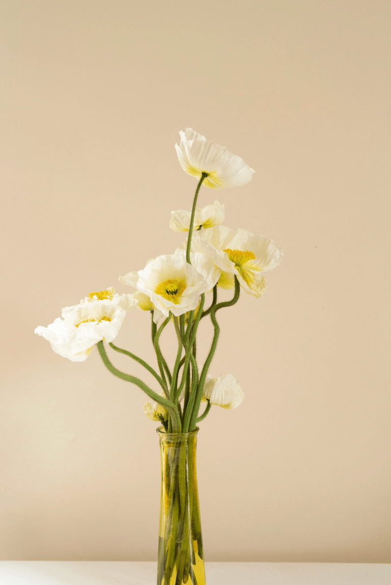 White flowers in a clear yellow vase against a beige background.