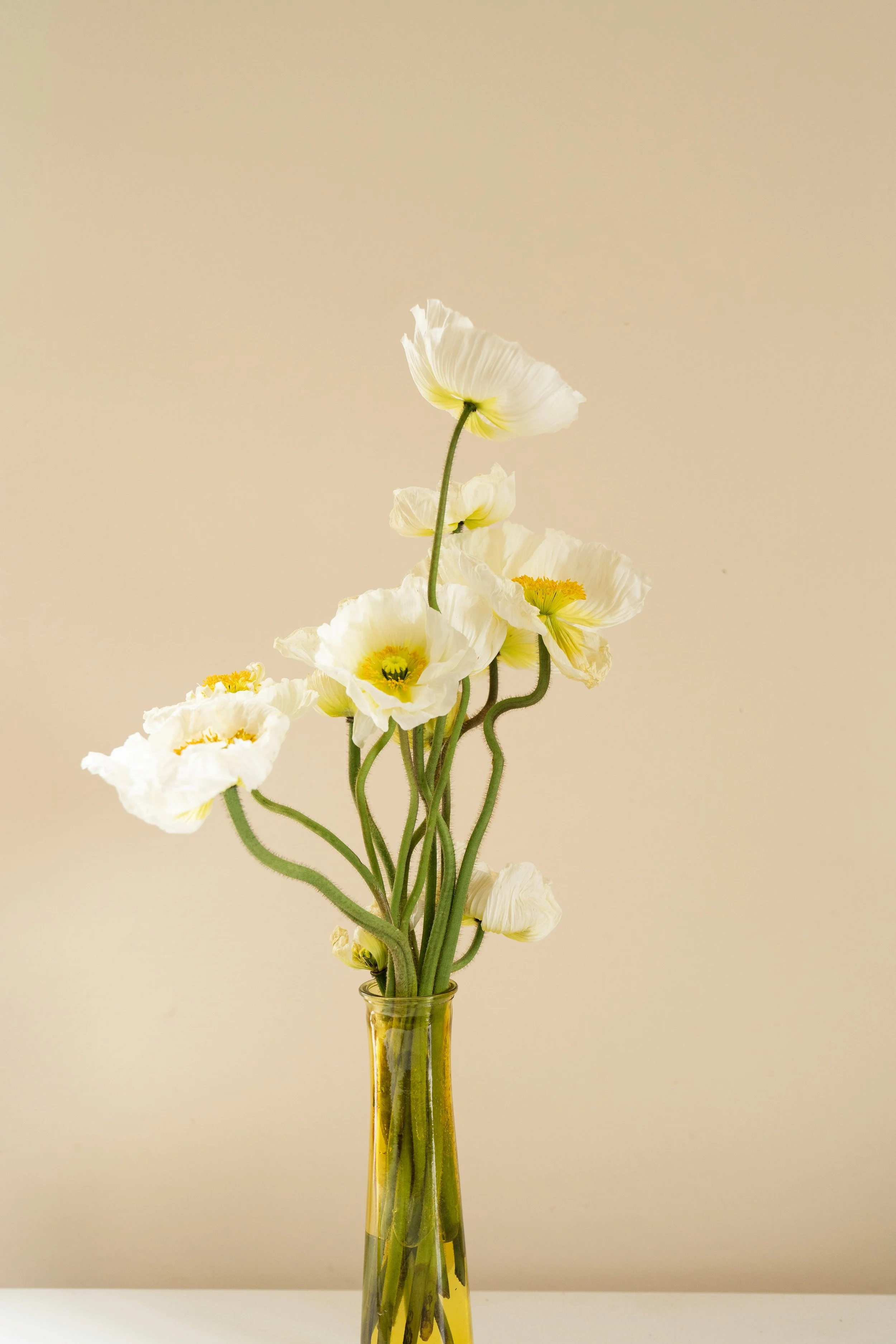 A clear glass vase with white poppy flowers and green stems against a plain, neutral background.