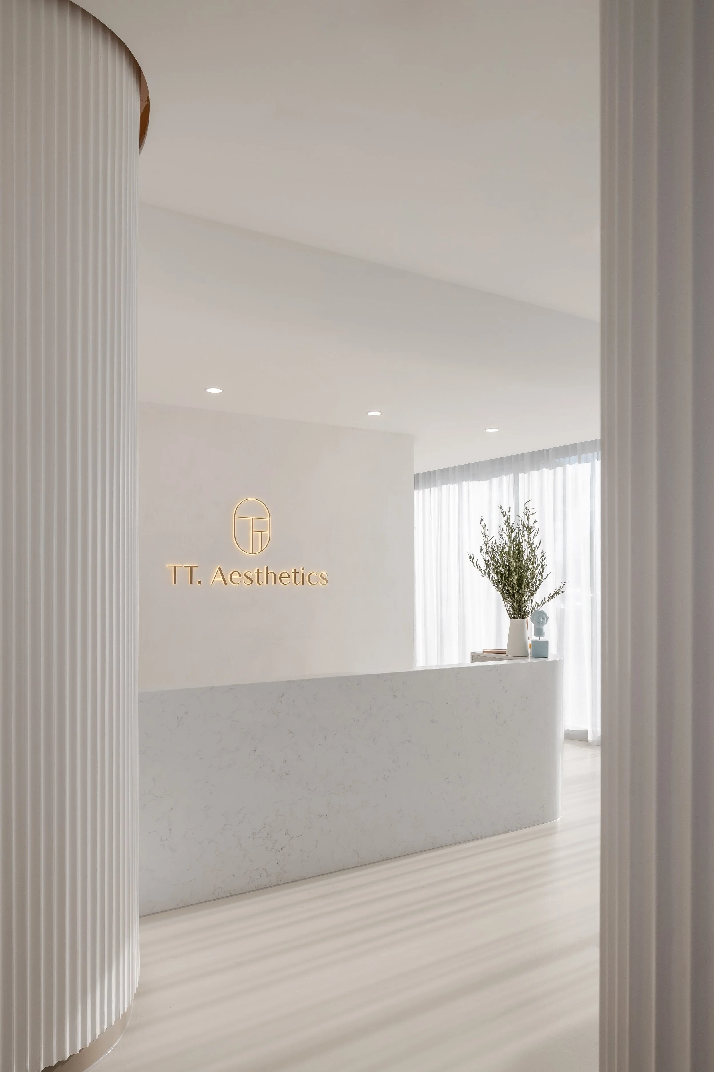 TT_AESTHETICS-1.JPG