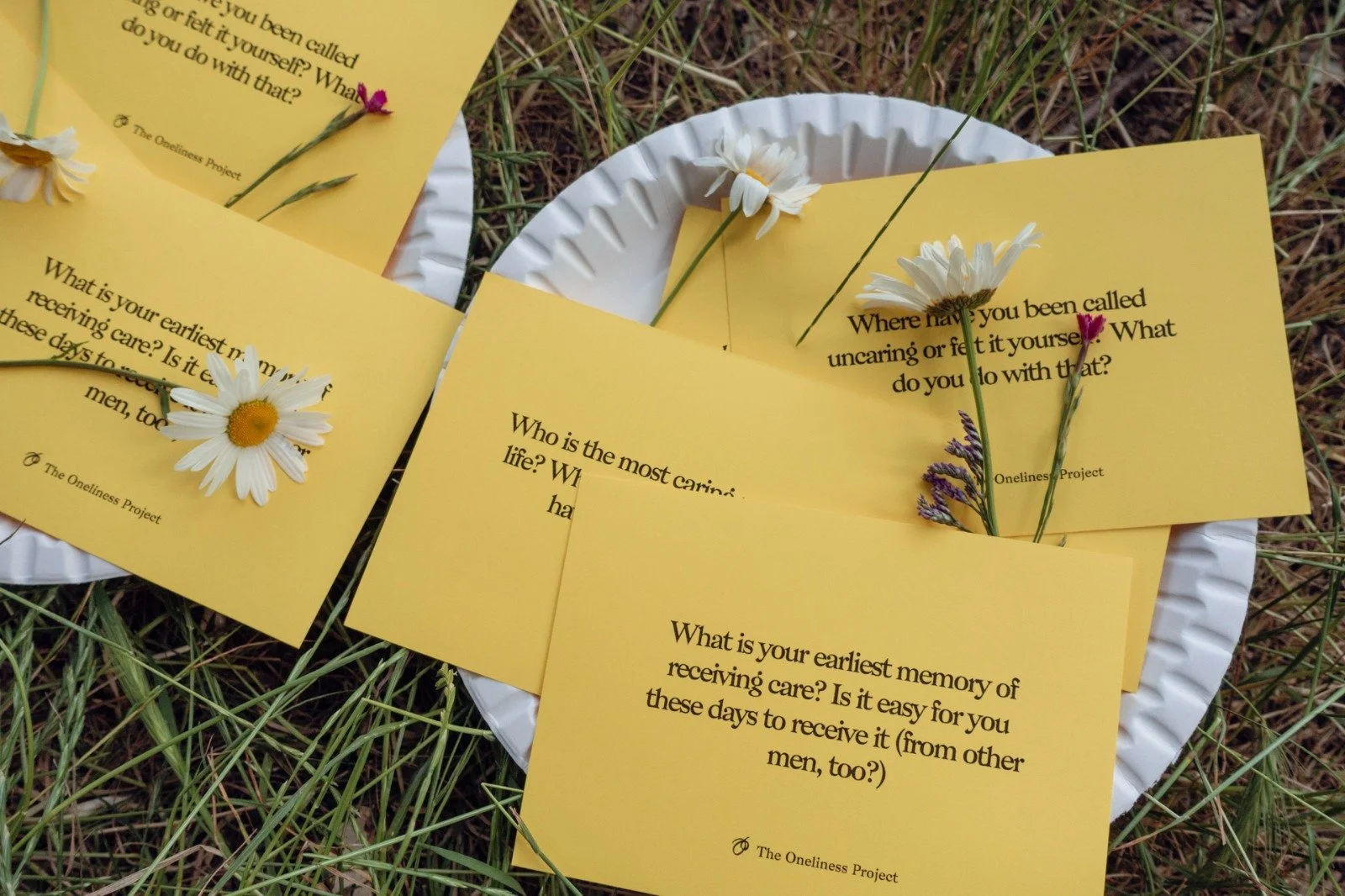 Yellow cards with black text are placed on a white disposable plate, with small daisies and other flowers arranged on and around them, set on grass outdoors.