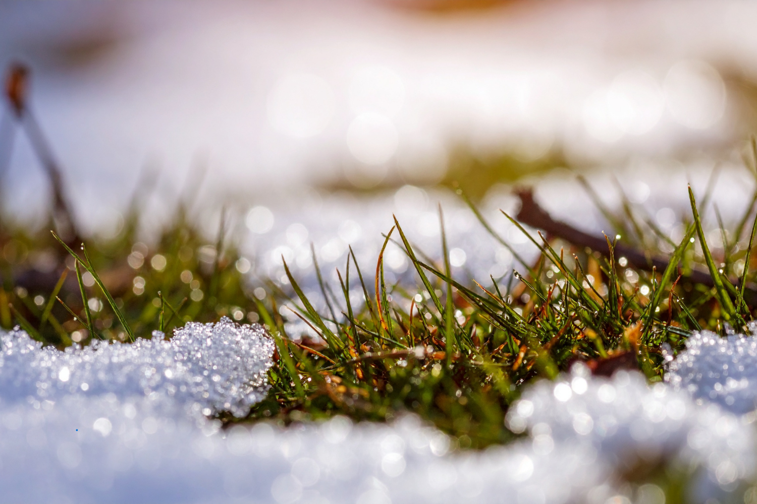 grass beneath melting soil