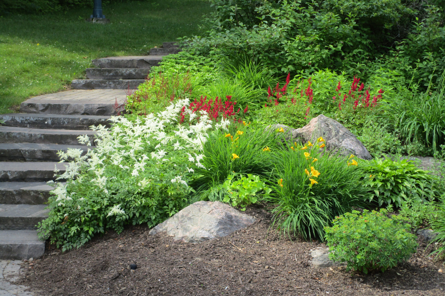 How to Plant on a Slope